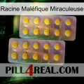 Racine Maléfique Miraculeuse new10
